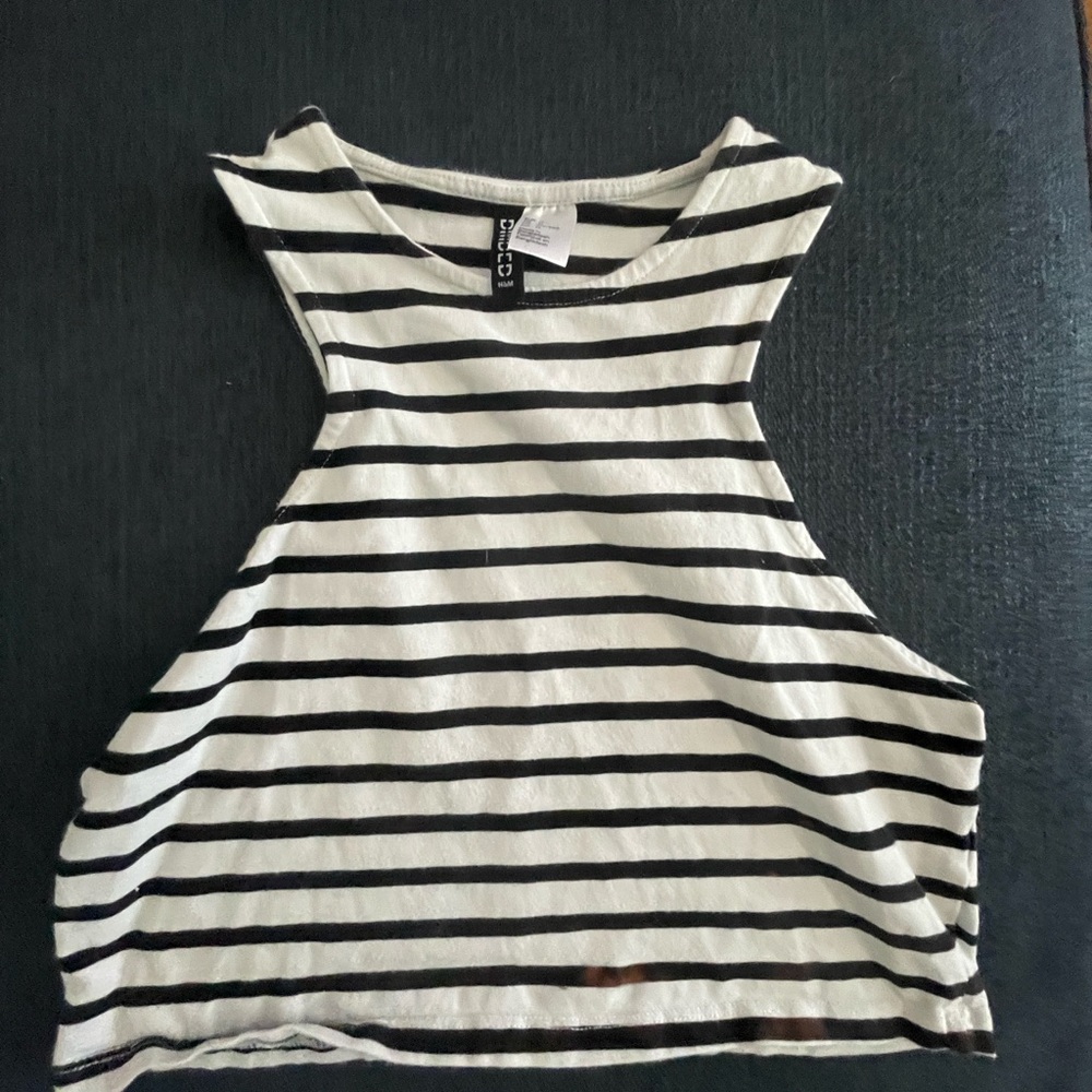 Medium crop top with small blemish on bottom right.